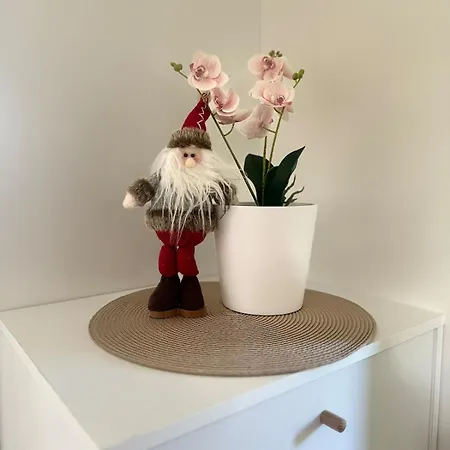 Apartamento Nordic Wooden House 4 *