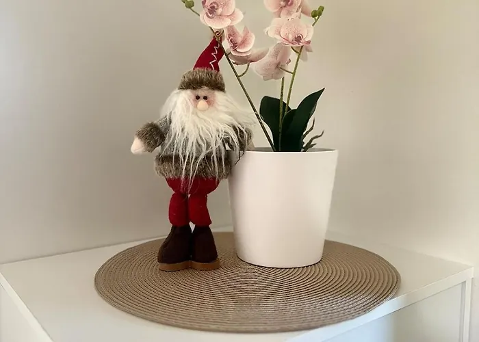 Apartament Nordic Wooden House 4 *